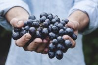 man holding grape
